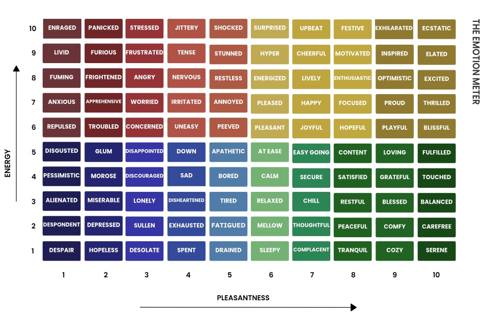 Emotion Meter