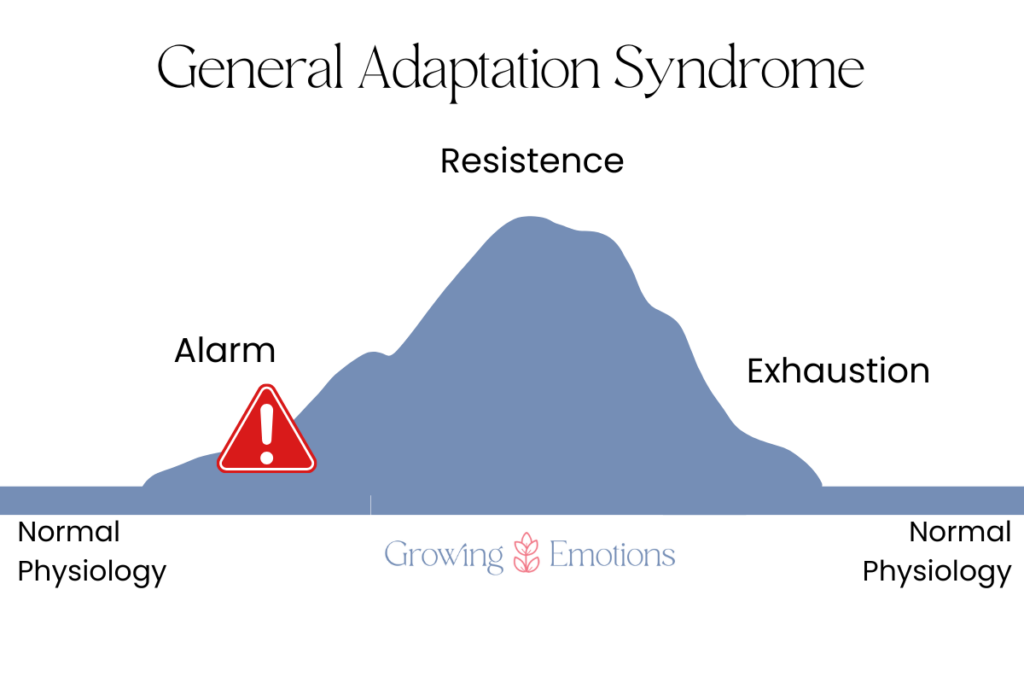 General Adaptation Syndrome; stress response system; alarm stage; resistence stage; exhaustion stage