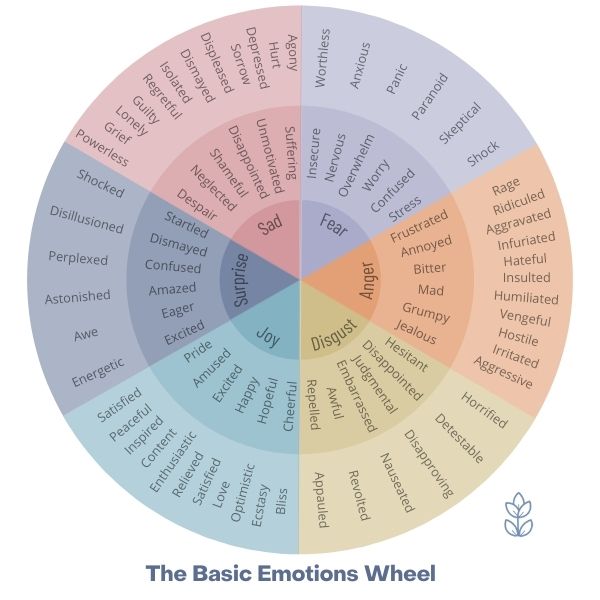 Basic Emotions Wheel